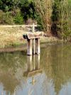Sciences en Sologne